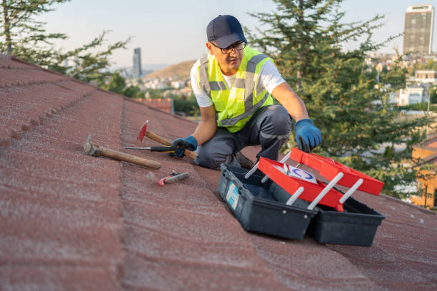 Best Hoarding Cleanup  in Lino Lakes, MN